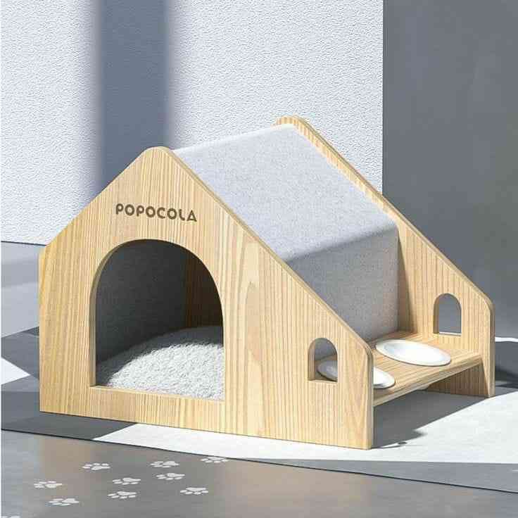 pet3.jpeg