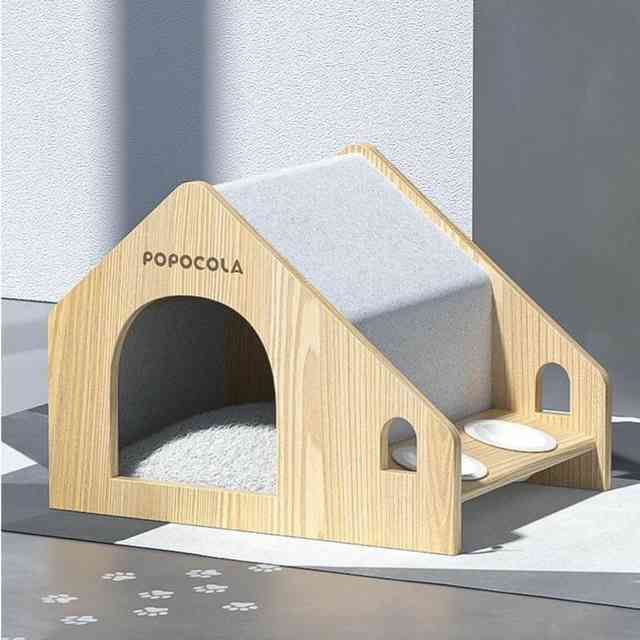 pet3.jpeg