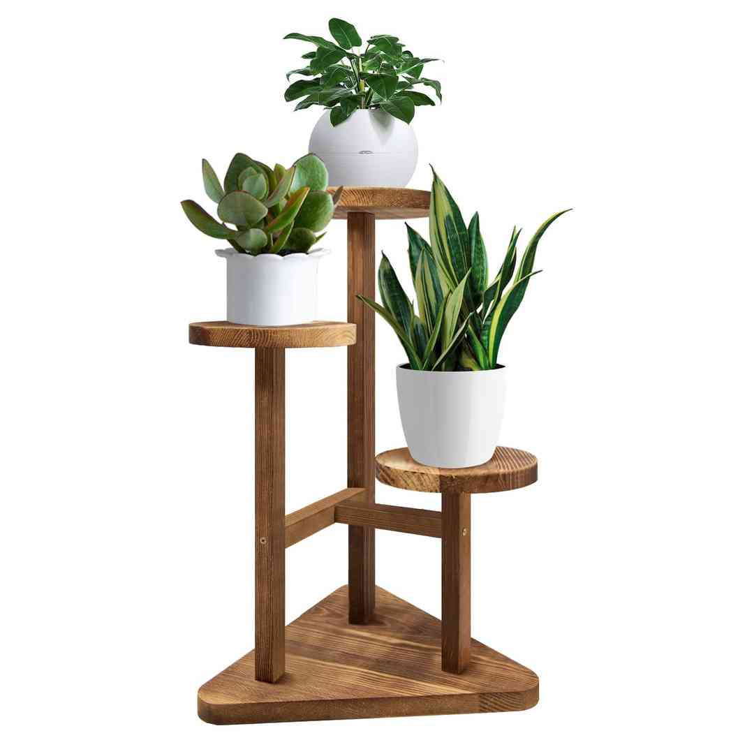 plant3.jpeg