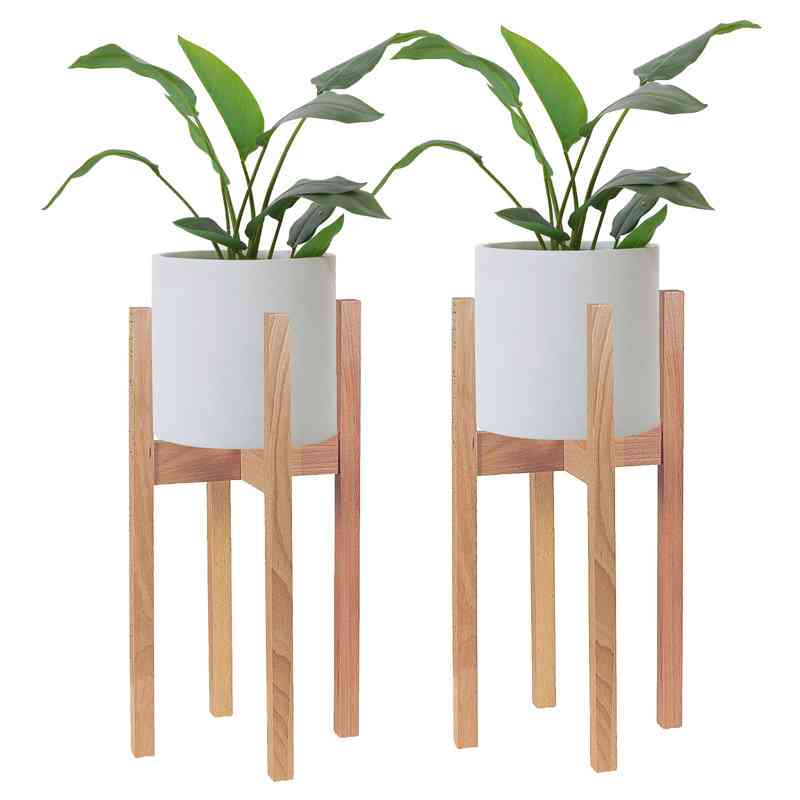 plant4.jpeg
