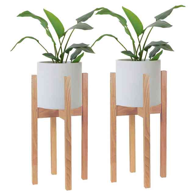plant4.jpeg